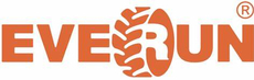 Фильтр EVERUN	(WB202; 10820000005; W030100530) - lift-part.ru - Екатеринбург