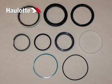 Набор уплотнений (2505007350) - lift-part.ru - Екатеринбург